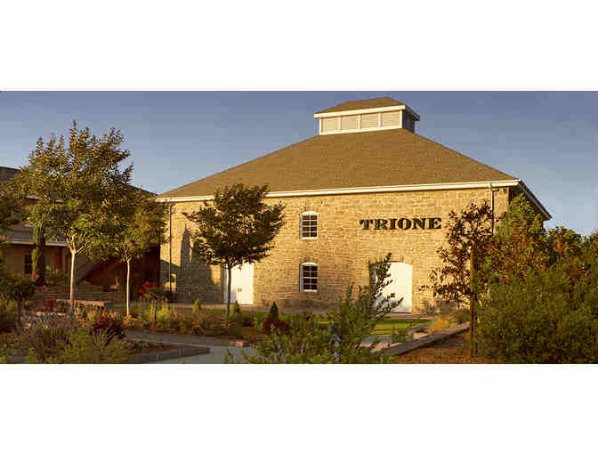 VIP Tour and Tasting for 6 at Trione Winery - and - magnum of 2012 Russian River Valley