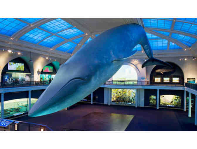 AMNH Super Saver Package for 2: IMAX, Space Show, Special Exhibits and More