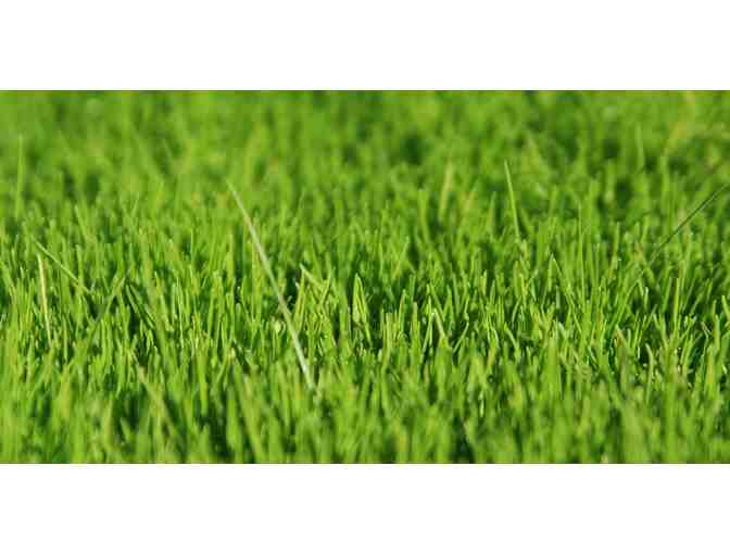 Your Lawn, Inc - $250 worth of lawn care service