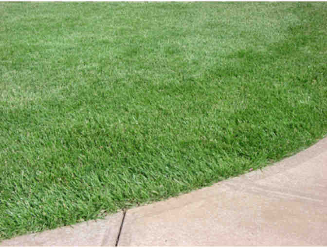 Tall Fescue Sod - 640 Square Feet - Medina Sod Farms