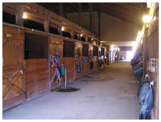 1 Hour Horseback Riding Lesson at Castle Neck Farm