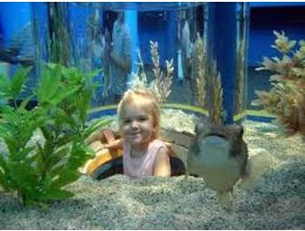 Ripleys Aquarium Gatlinburg Tennessee Admission for 2