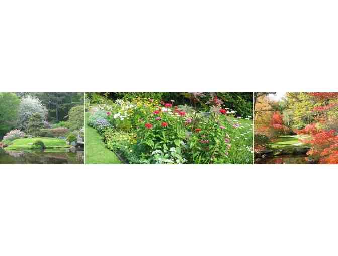 A Private Guided Afternoon Historic Garden Tour & Tea for up to 6 people!