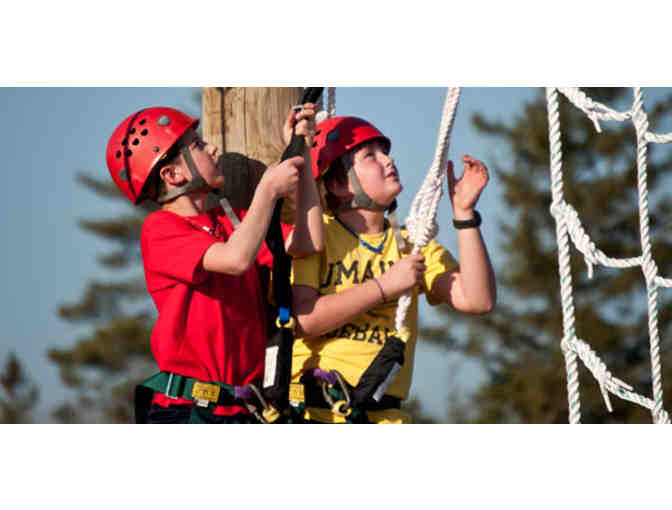 Wild Acadia Fun Park and Water Slides - 2 Aerial Park Passes