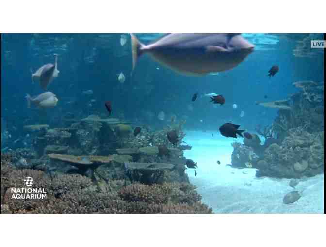 4 Admission Tickets to the Baltimore Aquarium thru Members Entrance