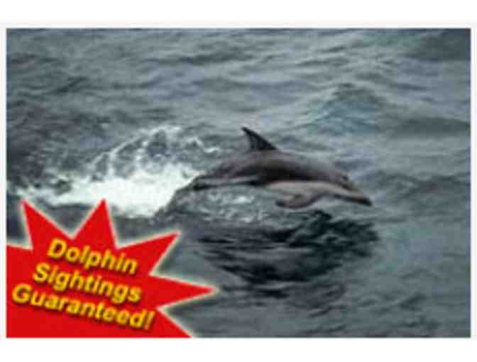 Fisherman's Wharf Excursion 3 - Dolphin/Whale Watching -Delaware