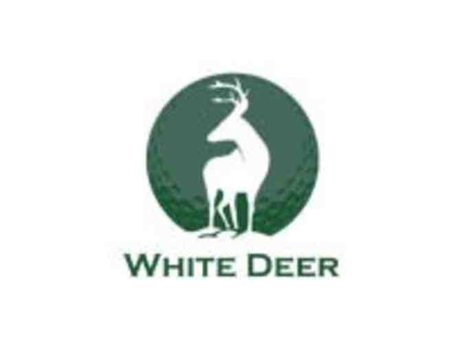 White Deer Golf Foursome - Montgomery PA