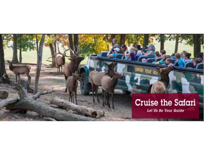 LAKE TOBIAS 3 Admissions and Safari Tours