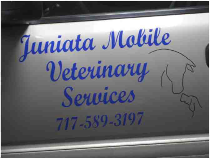 SPEND THE DAY WITH A LARGE ANIMAL VETERINARIAN