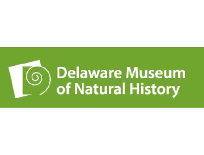 Natural History Comes Alive-Delaware Museum of Natural History