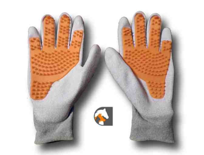 Grooming Hands Gloves for Horses and Dogs