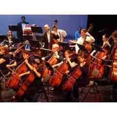 CCS Cello and Bass Sections