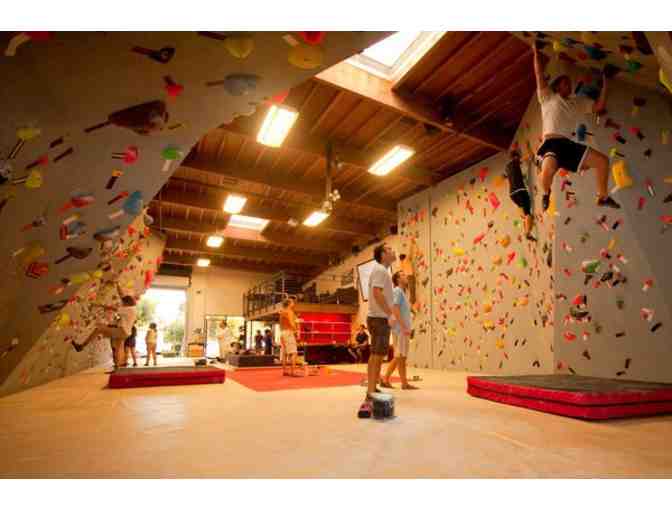 Vital Climbing Gym - 1 Day Pass