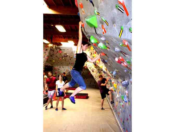 Vital Climbing Gym - 1 Day Pass