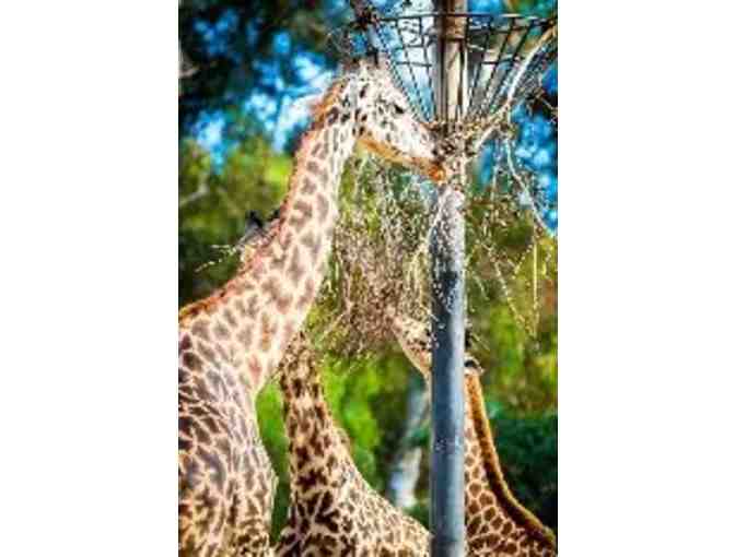 San Diego Zoo or Safari Park tickets for TWO!