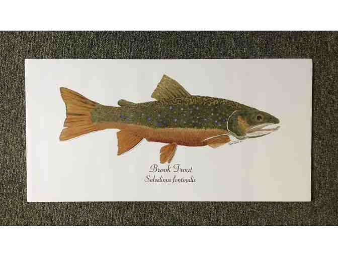 Brown, Brook, Cutthroat and Rainbow...Oh My! Signed and numbered prints by Thom Glace