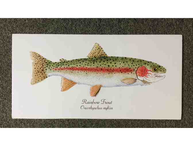 Brown, Brook, Cutthroat and Rainbow...Oh My! Signed and numbered prints by Thom Glace