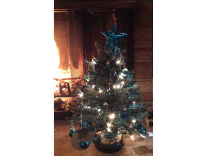 Colorado 'Blue' Spruce Holiday Tree