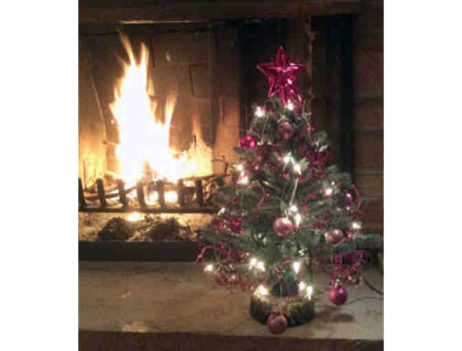 Colorado 'Pink' Spruce Holiday Tree