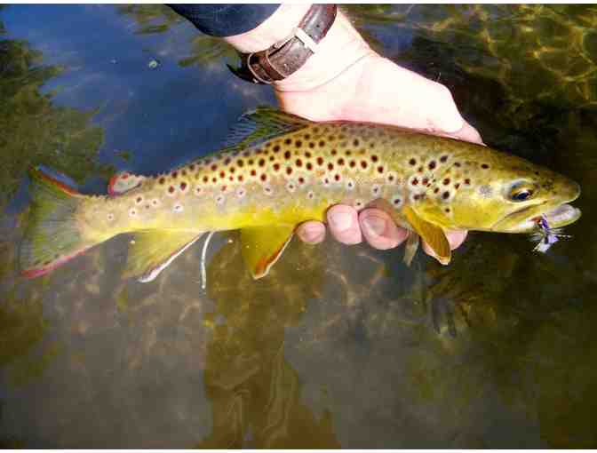 Driftless Fly Fishing Getaway & Barclay Glass Rod - Wisconsin