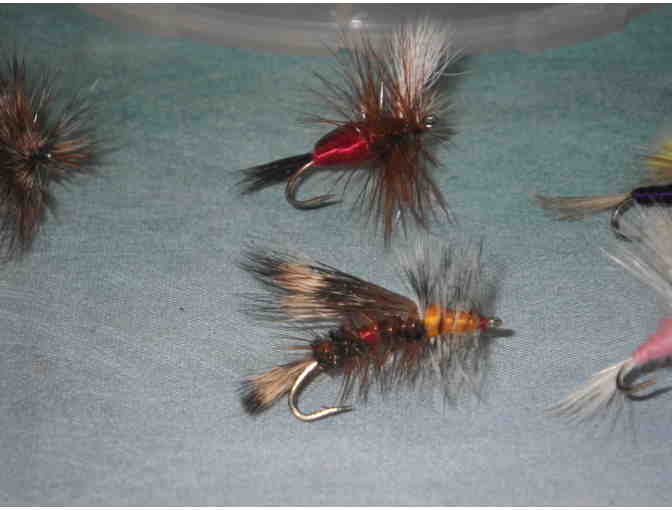 Flies: Attractors -- Six each of 6 Patterns