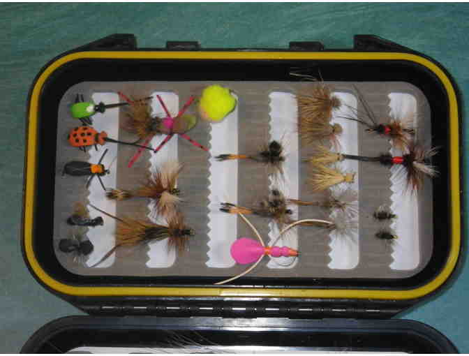 Flies: First Assortment, 40 flies