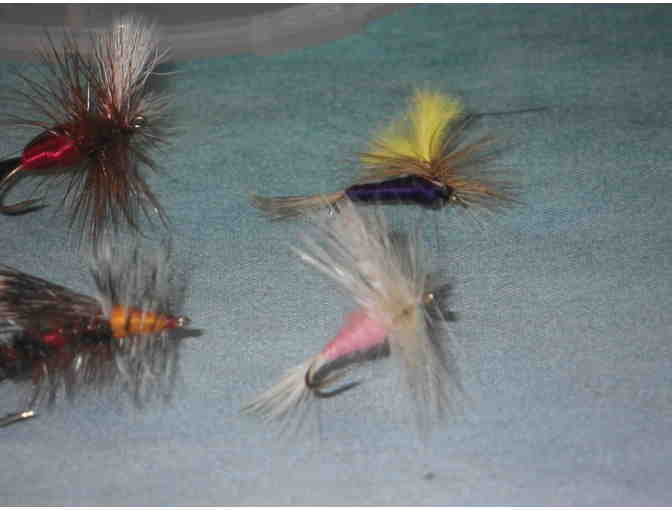 Flies: Attractors -- Six each of 6 Patterns