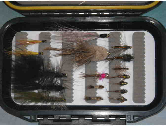 Flies: First Assortment, 40 flies