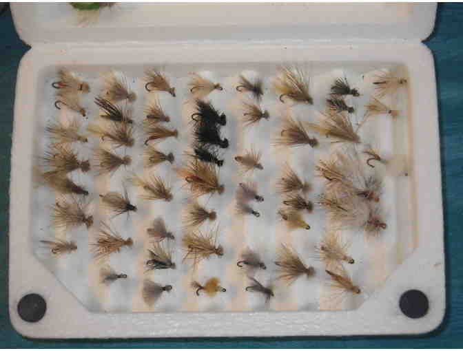 Flies: Caddis Fishers' Assortment 6 dozen flies
