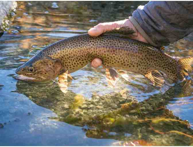 Heli Trout Week in Argentina for Two Anglers!