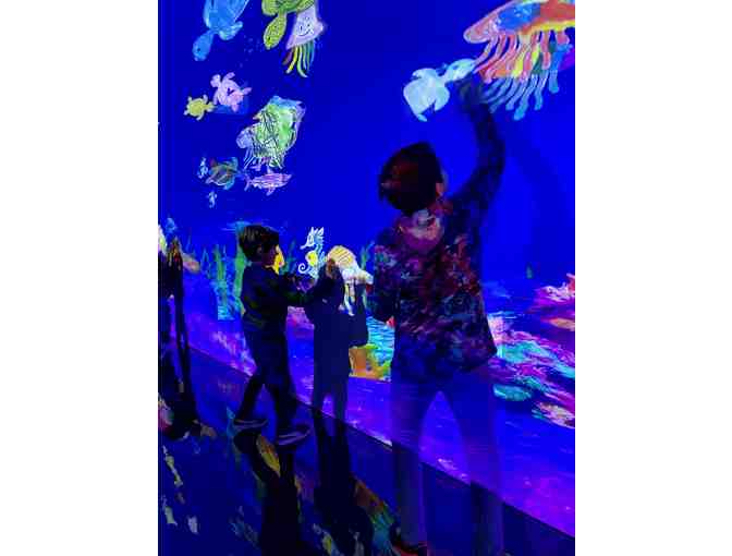 Private, VIP experience at the Asian Art Museum teamLab Exhibit! Sun., May 31