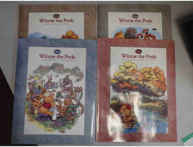 Winnie the Pooh 4 Book Collection