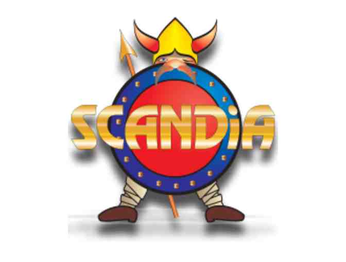 Scandia Family Fun Center - 4 Free Play Passes (1 of 2)