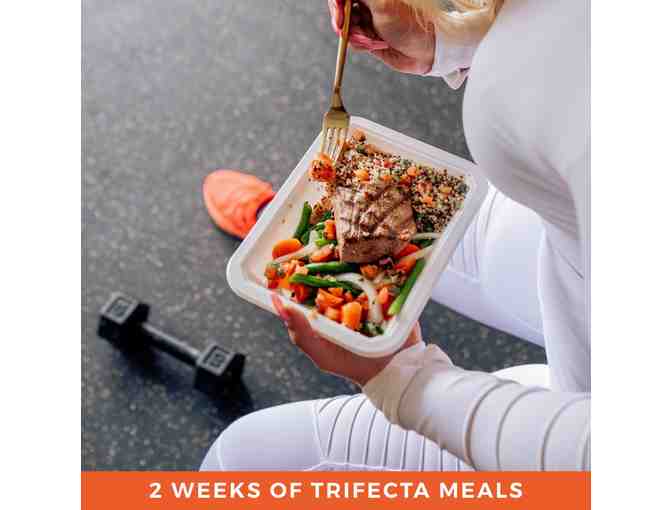 Trifecta Gluten-Free Meal Plan - 2 Weeks of Meals