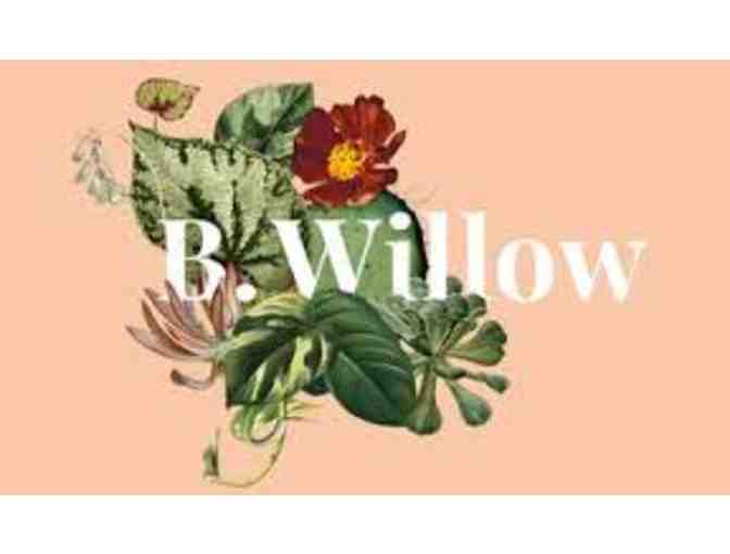 $75 Gift Certificate from B. Willow