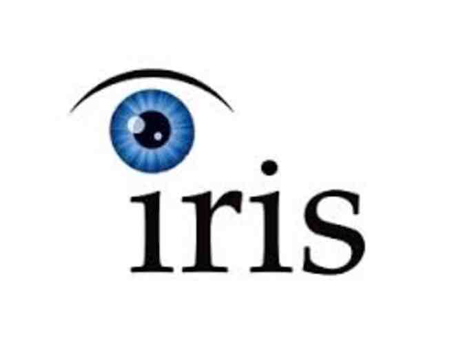 Learn to Speed Read with Iris Reading! (2)