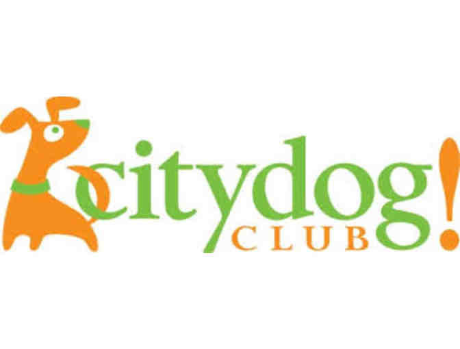 Citydog! Club - 2 Nights of Dog Boarding 'Weekend Getaway'