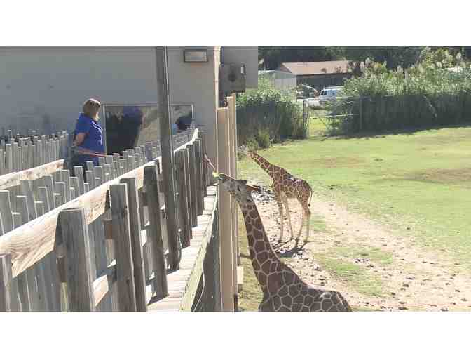 Frank Buck Zoo, Gainesville - (6) Children's Passes