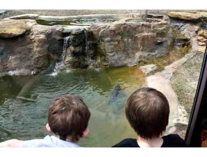 Frank Buck Zoo, Gainesville - (6) Children's Passes