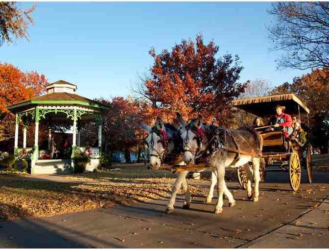 Dallas Heritage Village - (5) Complimentary Admissions & 50th Anniversary Book