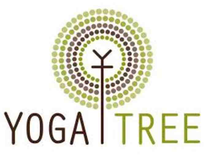 Cheetah Gym and Yoga Tree Membership