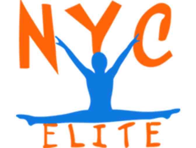 NYC Elite Gymnastics - One Week of Full Day Summer Camp-TriBeCa