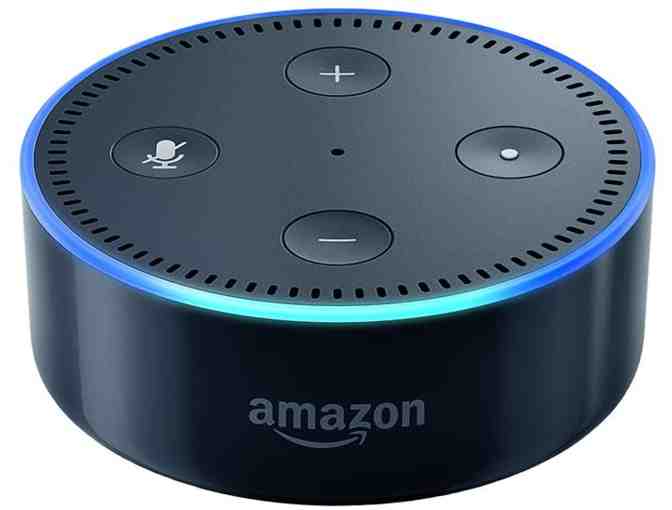 Amazon Echo Dot Package