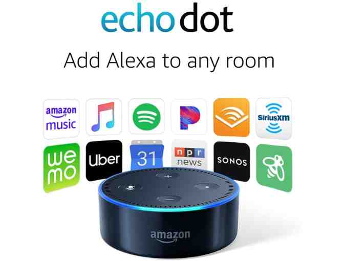 Amazon Echo Dot Package