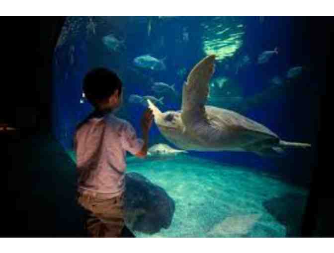 Virginia Aquarium & Marine Science Center - Four (4) Complimentary Admission Tickets-$100
