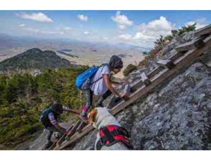 Grandfather Mountain Stewardship Foundation -Four (4) passes to Grandfather Mountain