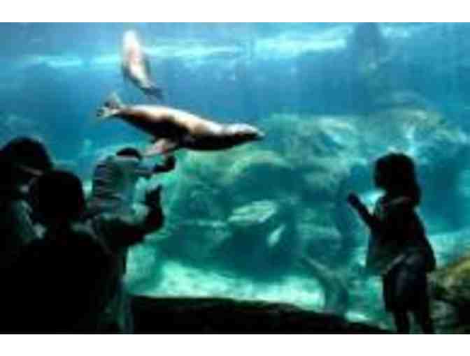2 Tickets for the Aquarium of the Pacific