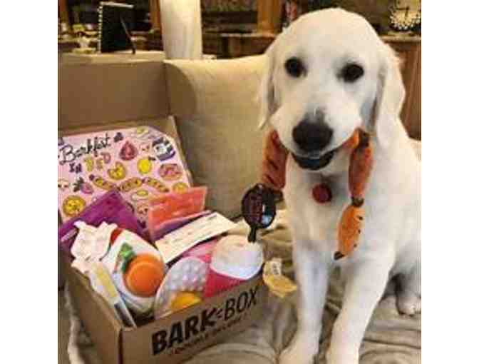 Bark Box
