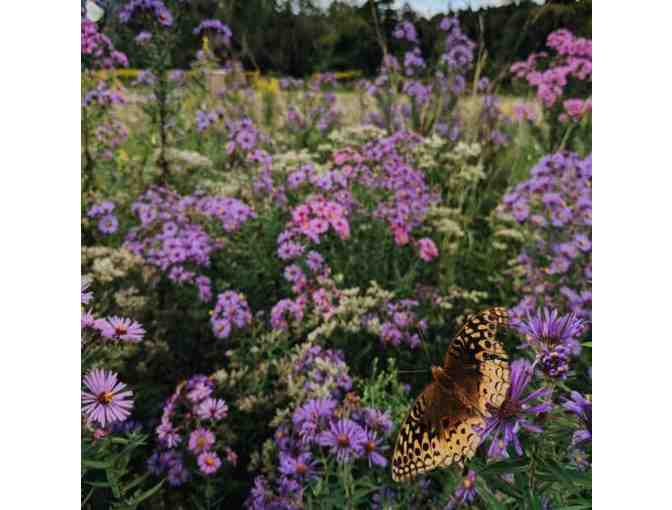 Native Garden Consultation & Gift Card to Tait Farm Greenhouse