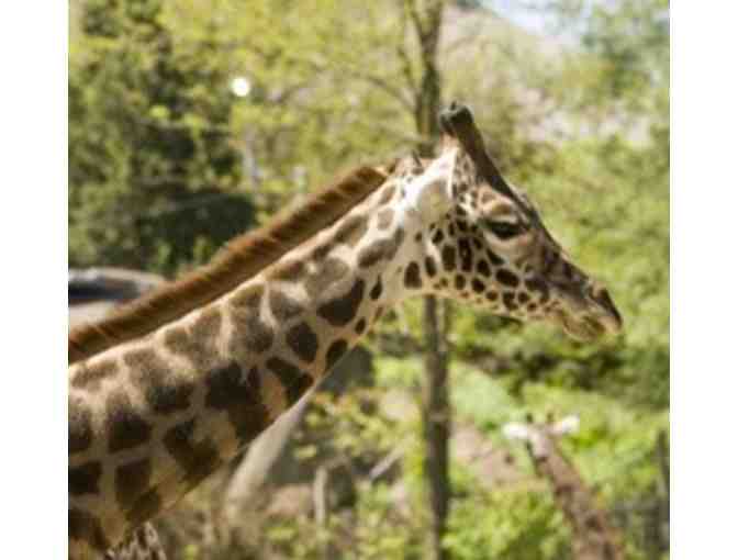 ROGER WILLIAMS PARK ZOO - 4 passes